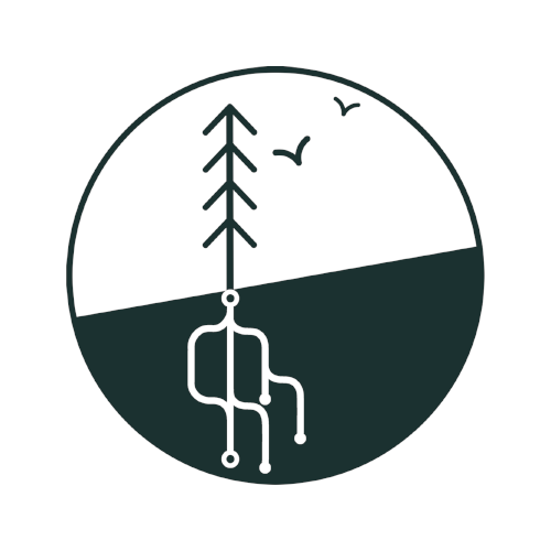 Tree growing with code branches